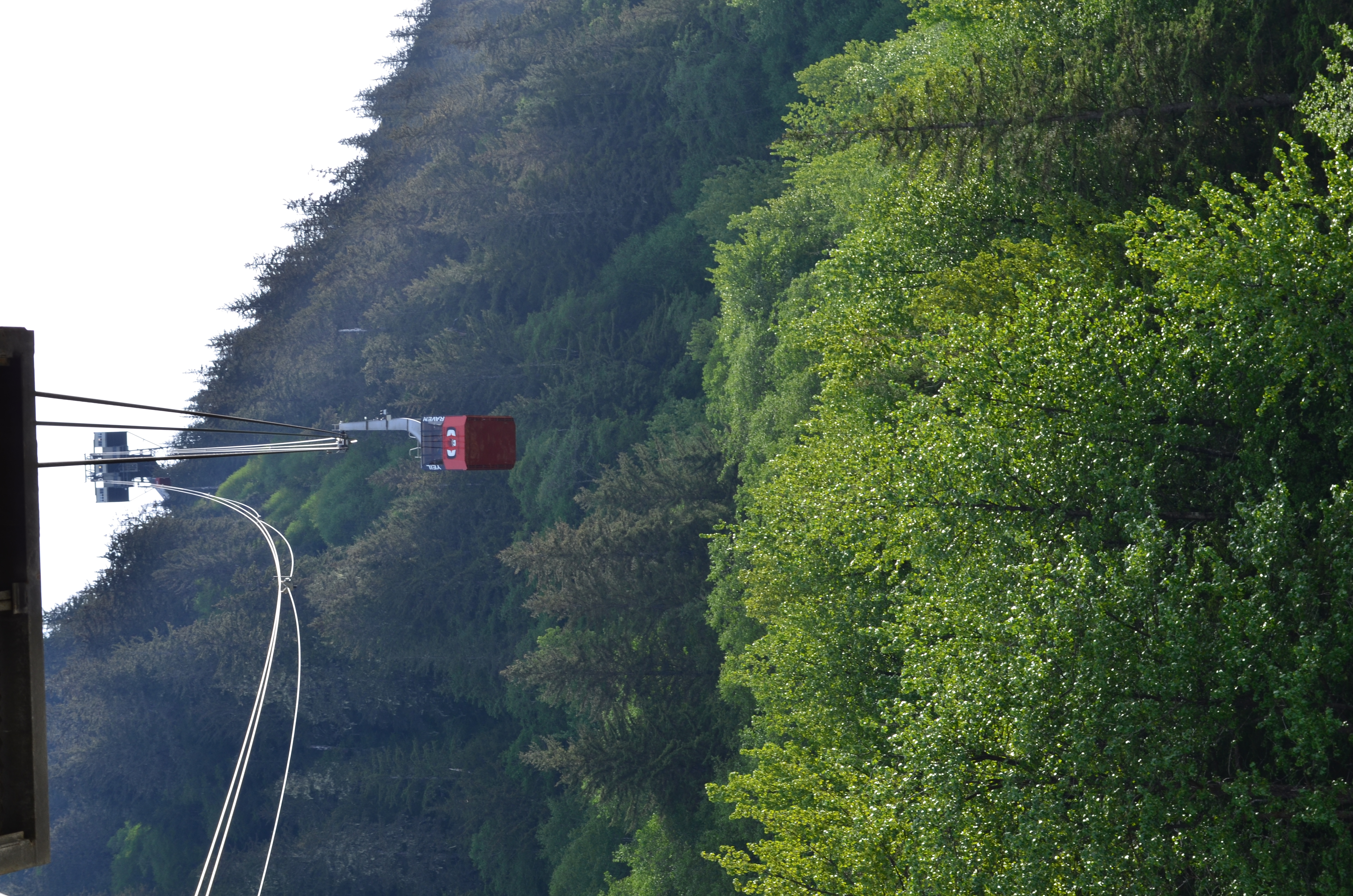 ./2017/08 - Alaska Cruise/08 - Juneau/DSC_0855.JPG